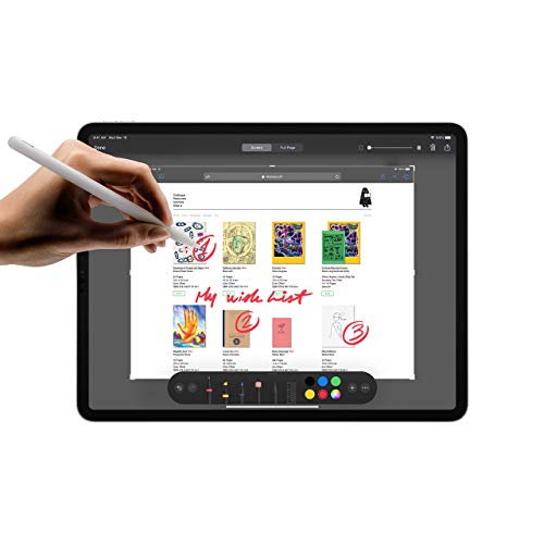 Apple iPad Pro (12,9 pulgadas, Wi-Fi, 512 GB) - Gris espacial (4a generación) (2020) (Reacondicionado)